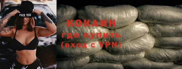 гашик Костерёво