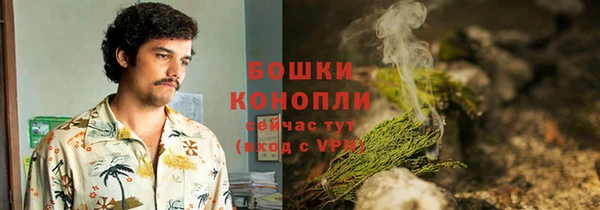 гашик Костерёво