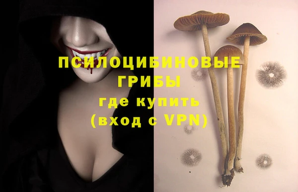 таблы Коряжма