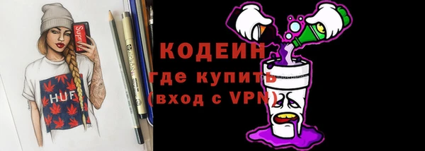 гашик Костерёво