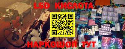 spice Кандалакша