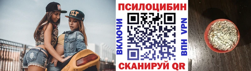 Псилоцибиновые грибы GOLDEN TEACHER  Черняховск 