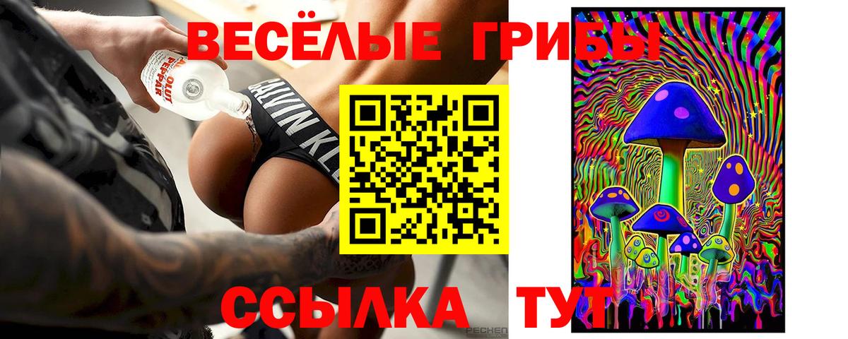 Псилоцибиновые грибы прущие грибы  Вход с VPN  Черняховск  Галлюциногенные грибы прущие грибы 