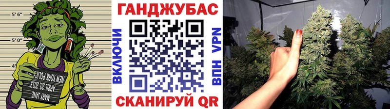 shop как зайти  Черняховск  Каннабис SATIVA & INDICA 