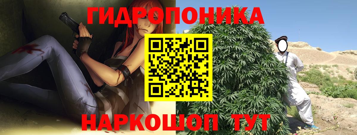 Бошки Шишки LSD WEED  Марихуана план  Черняховск  Канабис марихуана 